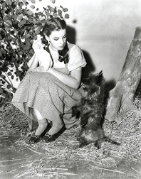 Judy Garland with Toto, The Wizard of Oz, 1939